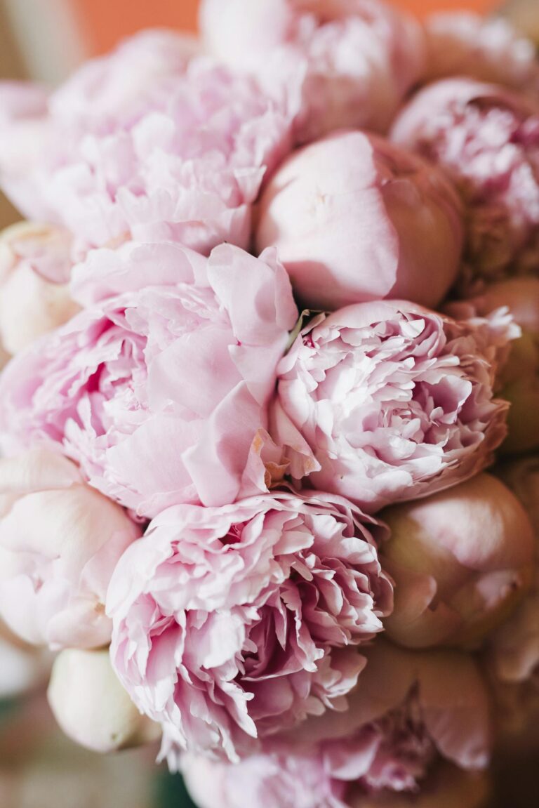 Close-up of lush pink peony blossoms in a bouquet, showcasing vibrant petals and floral beauty.